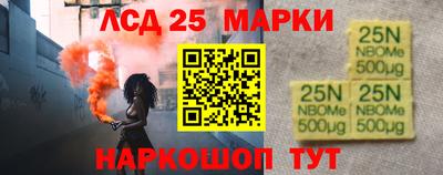 амф Кандалакша